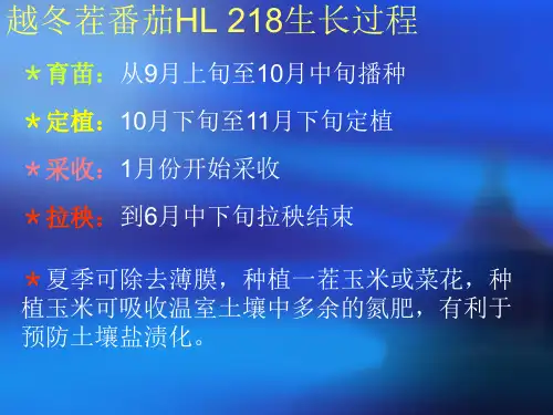 银月亮番茄HL218越冬茬栽培管同名116课件.ppt