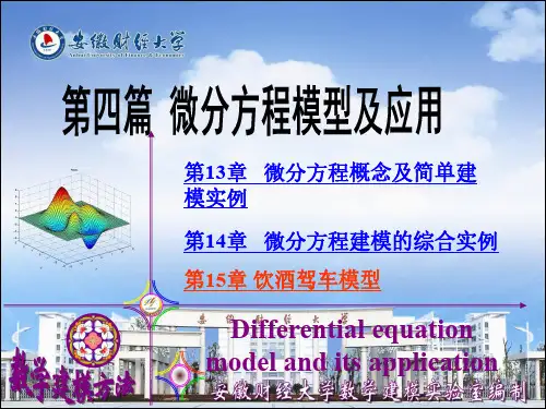 饮酒驾车建模