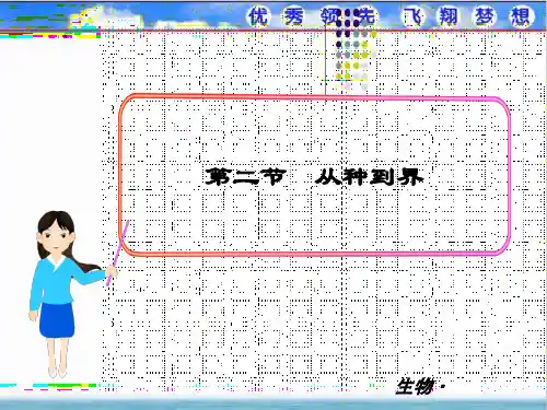 最新人教版八年级生物上册《从种到界》优质教学课件