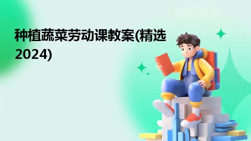 种植蔬菜劳动课教案(精选2024)