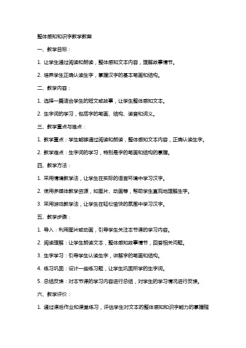 整体感知和识字教学教案