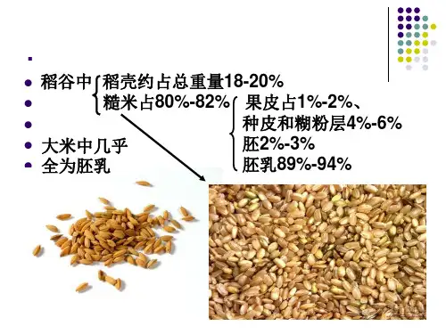 粮油贮藏课件