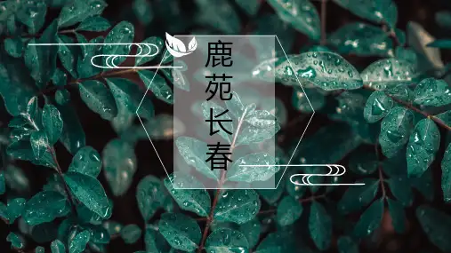 鹿苑长春PPT