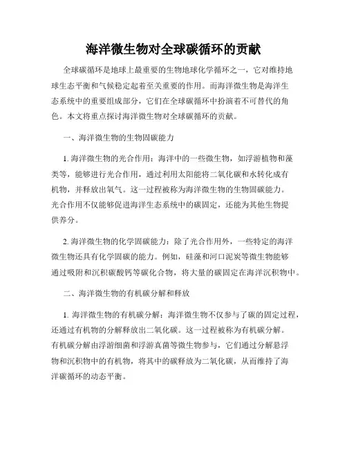 海洋微生物对全球碳循环的贡献
