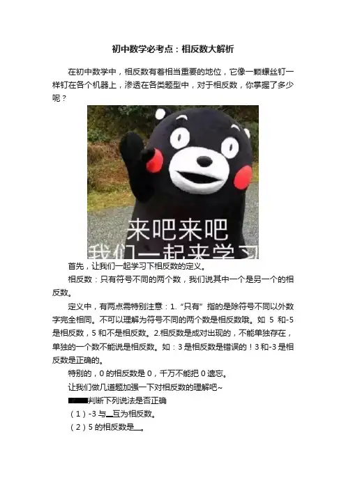 初中数学必考点：相反数大解析