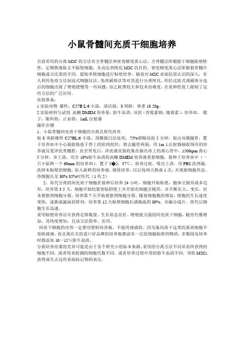 小鼠骨髓间充质干细胞培养