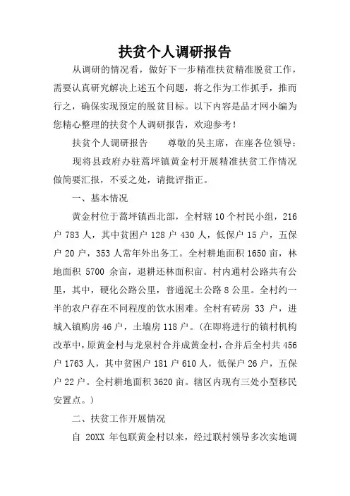 扶贫个人调研报告