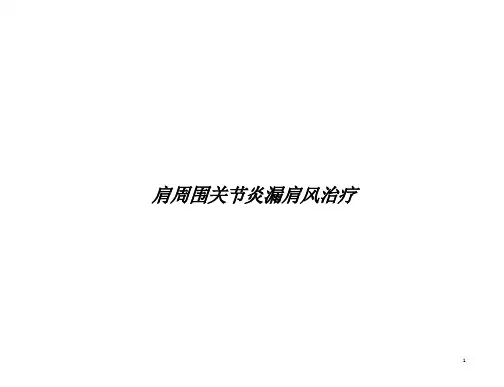 肩周围关节炎漏肩风治疗培训ppt课件