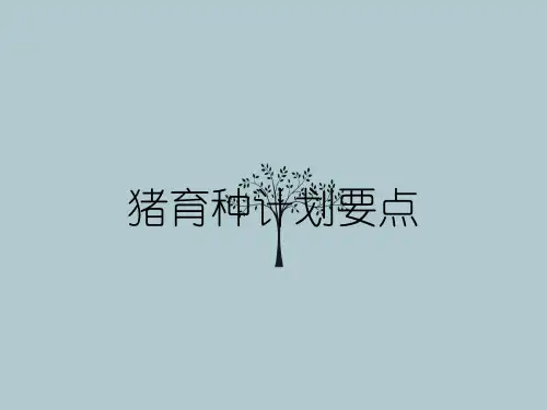 猪育种计划要点