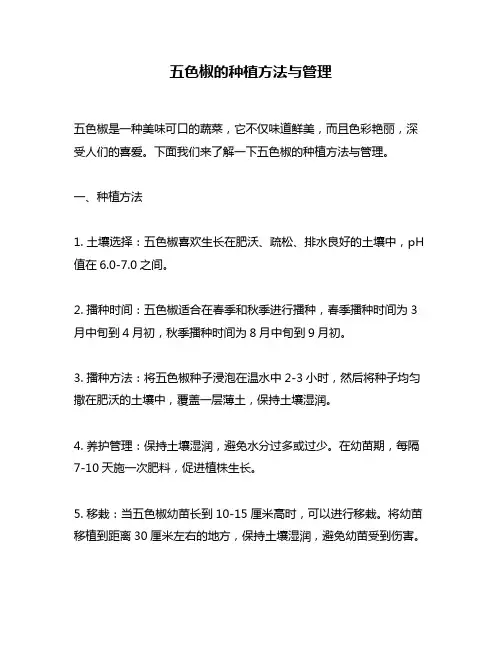 五色椒的种植方法与管理