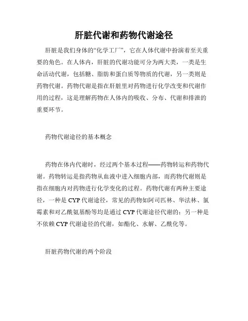 肝脏代谢和药物代谢途径