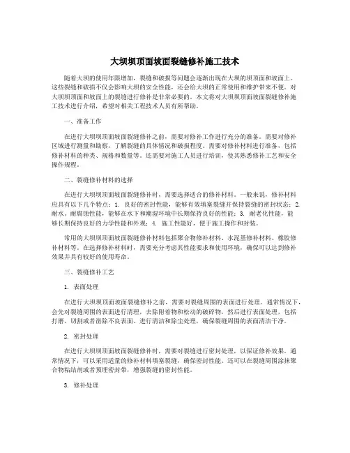 大坝坝顶面坡面裂缝修补施工技术