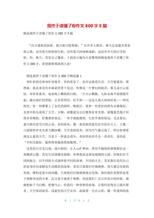 我终于读懂了你作文800字5篇
