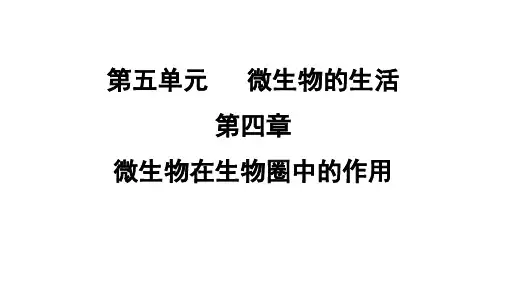 5.4 微生物在生物圈中的作用  课件 冀少版生物八年级上册