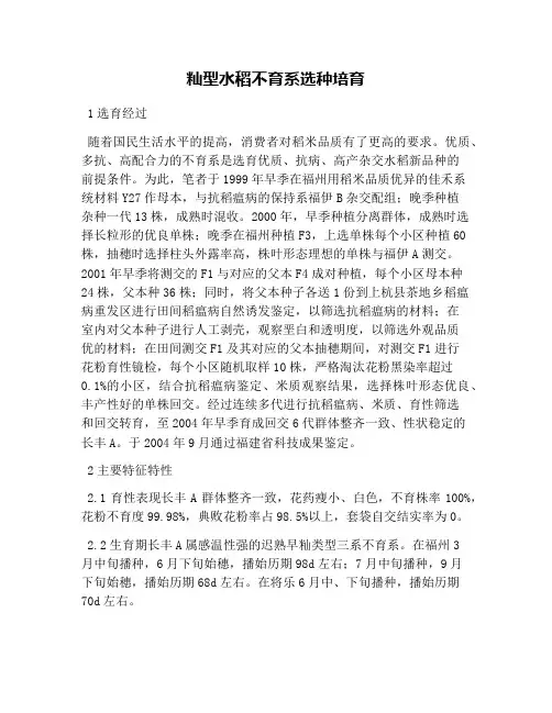 籼型水稻不育系选种培育