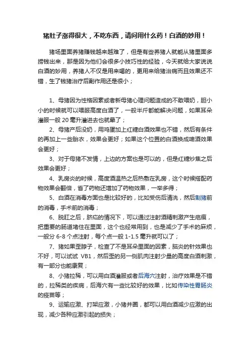 猪肚子涨得很大，不吃东西，请问用什么药！白酒的妙用！