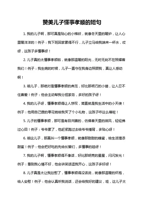 赞美儿子懂事孝顺的短句