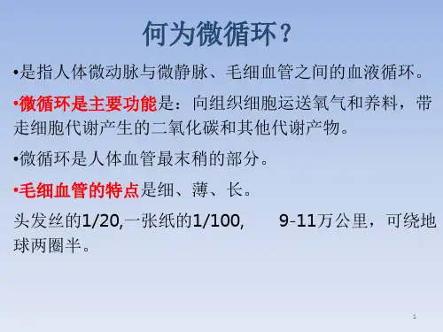 微循环检测仪PowerPoint演示文稿