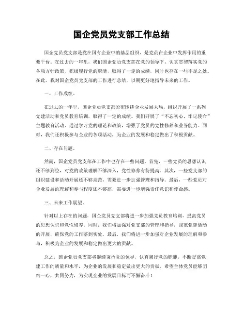 国企党员党支部工作总结