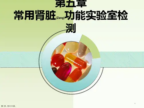 常用肾功能实验室检测诊断及治疗完整版ppt