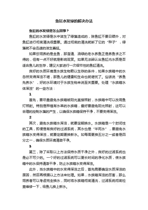 鱼缸水发绿的解决办法