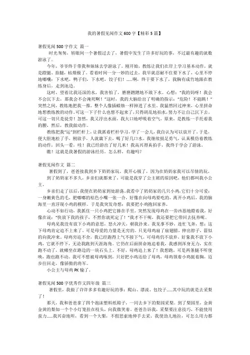 我的暑假见闻作文600字【精彩5篇】