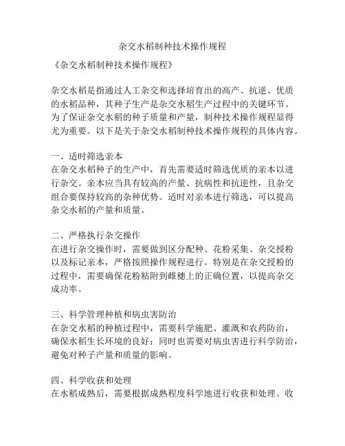 杂交水稻制种技术操作规程