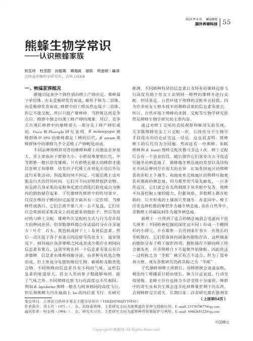 熊蜂生物学常识——认识熊蜂家族