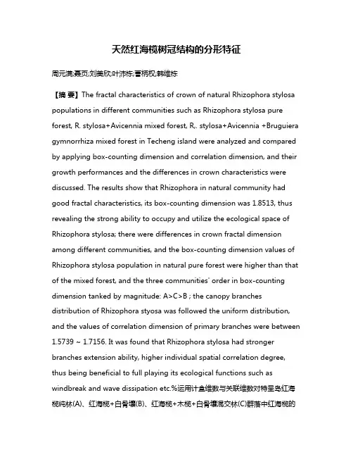 天然红海榄树冠结构的分形特征