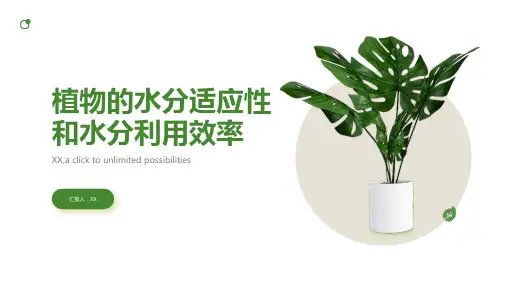 植物的水分适应性和水分利用效率