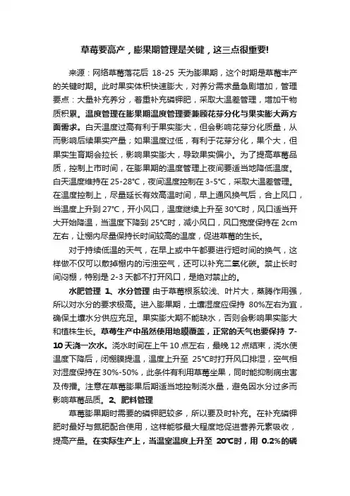 草莓要高产，膨果期管理是关键，这三点很重要!