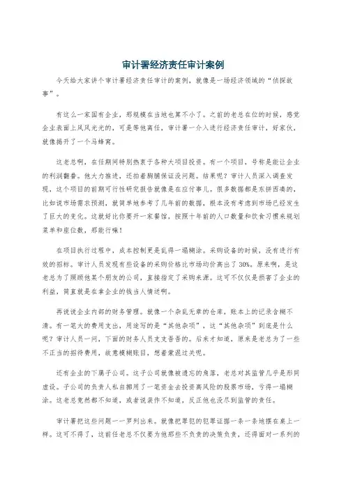 审计署经济责任审计案例