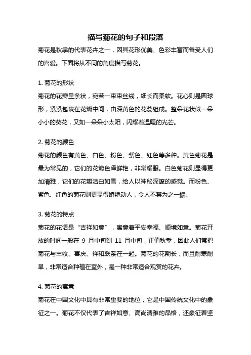 描写菊花的句子和段落