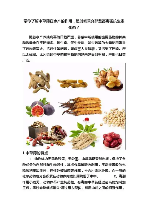 带你了解中草药在水产的作用，是时候丢弃那些高毒害抗生素化药了