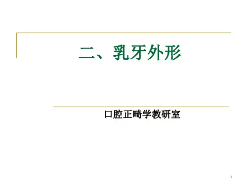 重医大口腔解剖生理学课件06乳牙外形