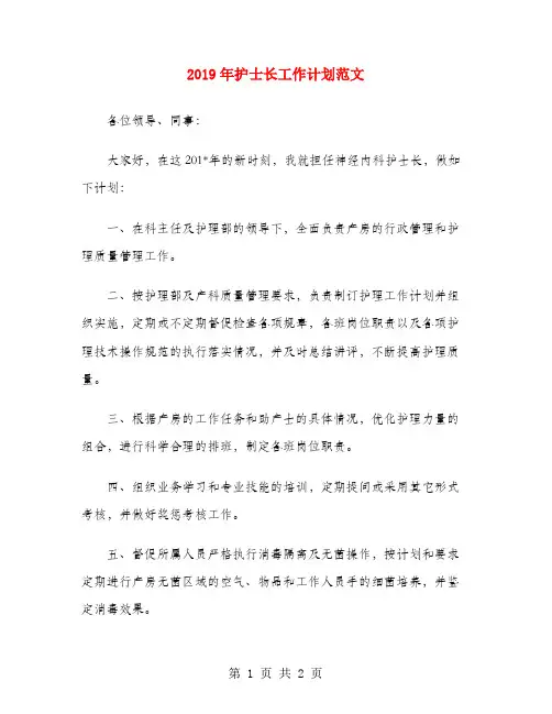 2019年护士长工作计划范文