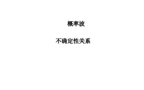 概率波、不确定性关系课件