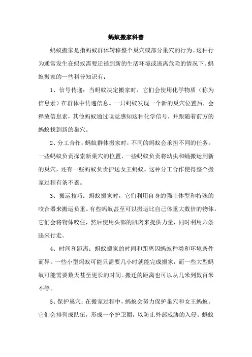 蚂蚁搬家科普
