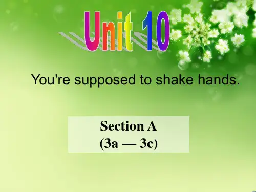 人教新目标版九年级全一册Unit 10  Section A (3a — 3c)(共20张PPT)