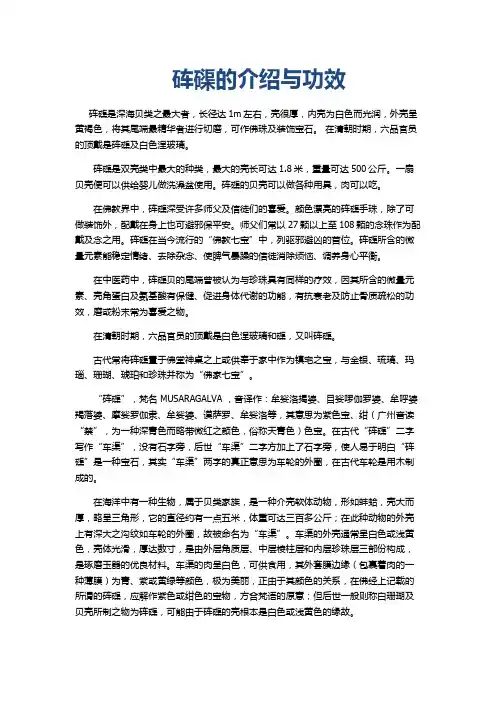砗磲的介绍与功效