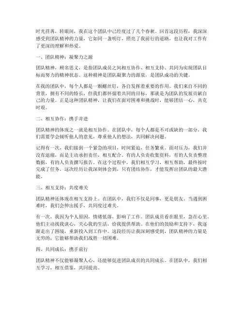 工作感言团队精神