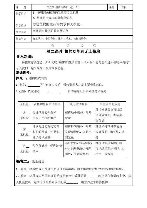 根的结构和功能(第2课时)教学案济南版生物八年级上册