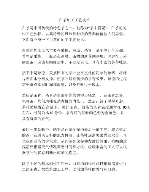 白茶加工工艺技术