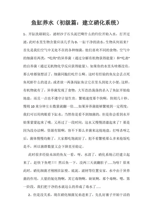 鱼缸养水(初级篇)
