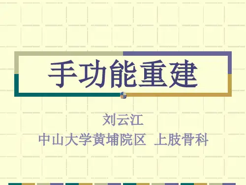 手功能重建