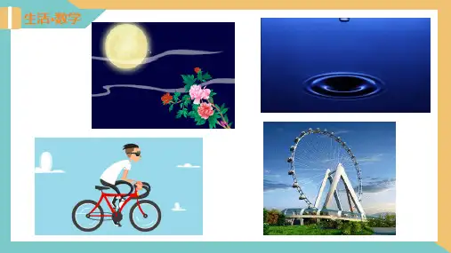 圆(22张PPT)2024—2025学年九年级数学上册