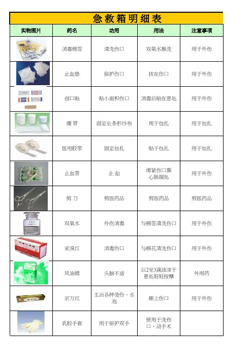 急救箱药物明细表-样板