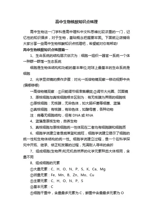 高中生物核酸知识点梳理