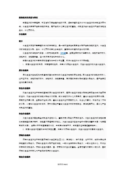 植物组织的类型及特征