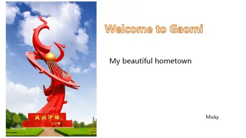 GaoMi(高密介绍)